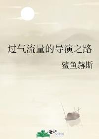 过气流量的导演之路